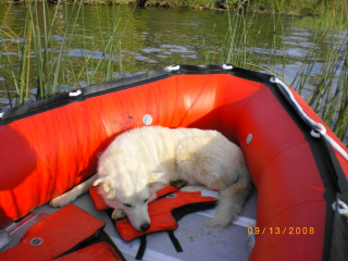 Customer Photo - 14' Saturn Inflatable Boat - Red